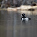 亿万28娱乐平台的安全性与用户体验分析,值得信赖吗? 2w05y174l