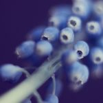 亿万28登录平台的优势与用户体验深度解析 4s52ttl