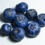 亿兆体育网页版:畅享全新在线体育体验的最佳选择 85490vifkk