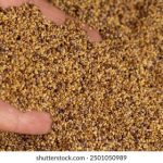 九游会j9:揭秘热门游戏背后的精彩故事与技巧 btqyhazh