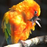 九游会j9娱乐:畅享多样化游戏体验的最佳平台 dw9mku