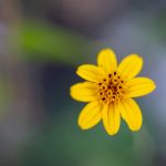 亿万娱乐28:探索全新在线娱乐平台的无限可能性 ro48iu