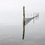 保时捷娱乐平台的未来发展趋势:创新科技引领汽车娱乐新潮流 x9mmk1