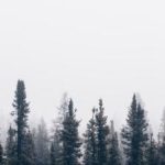 亚新体育网页版的优势与特色:为何越来越多用户选择它 y2z0y